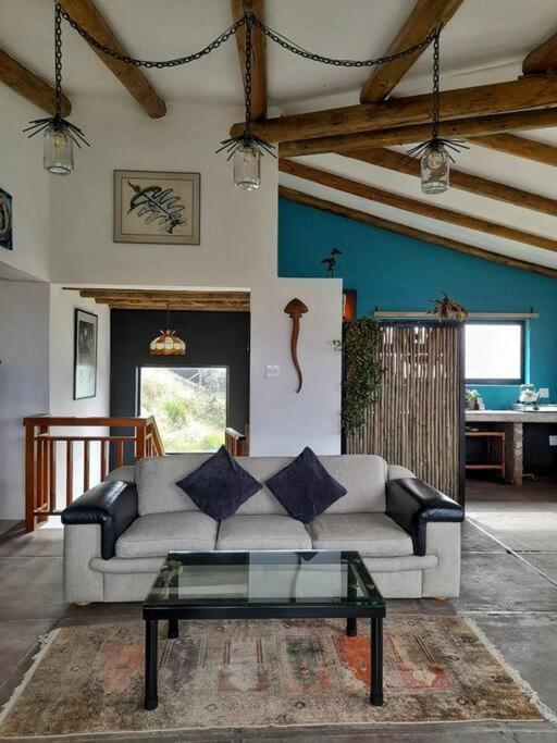 Apartamento Quirky Bird Cidade Do Cabo