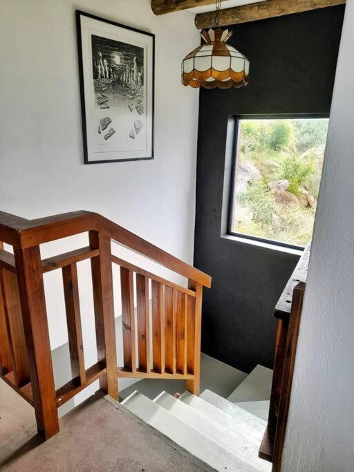 Apartamento Quirky Bird