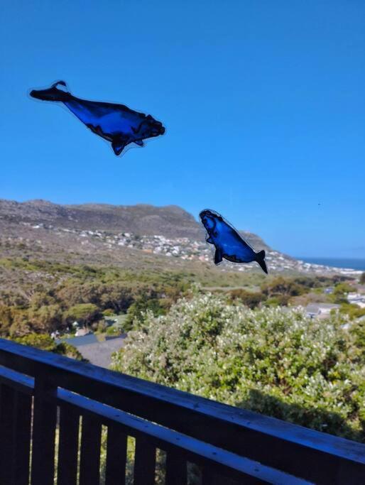 Quirky Bird Cidade Do Cabo