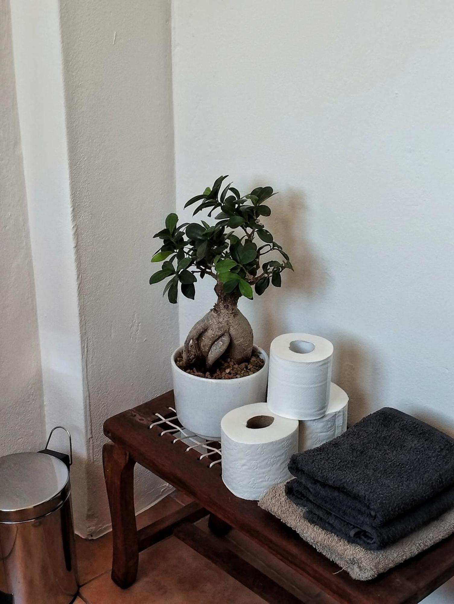Quirky Bird Apartamento