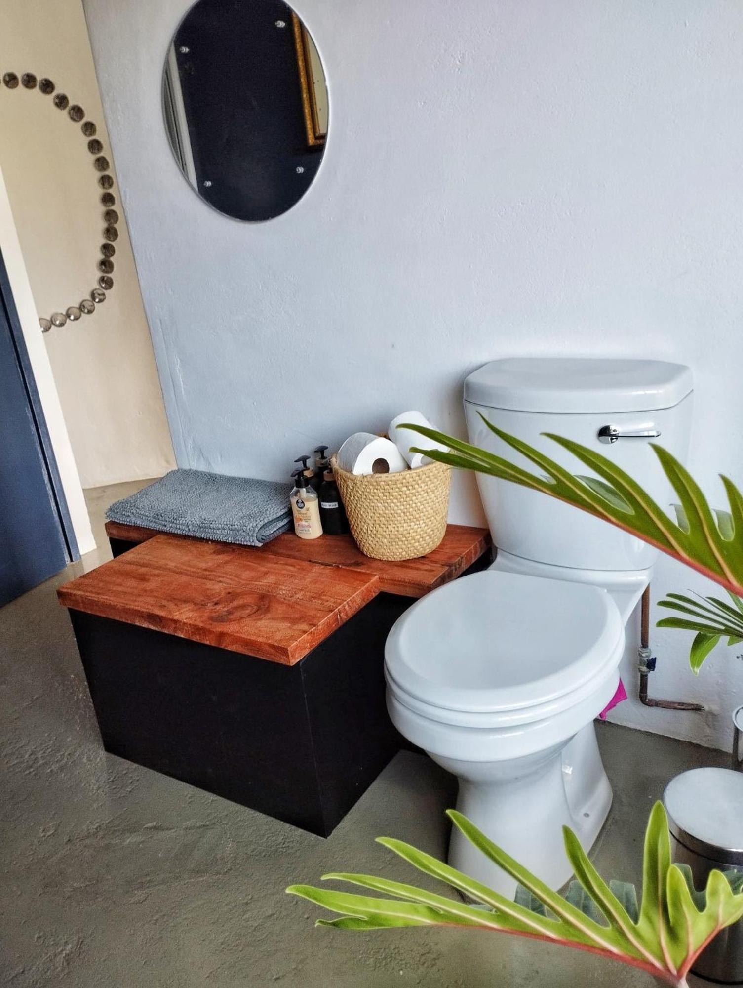Quirky Bird Apartment Cape Town
